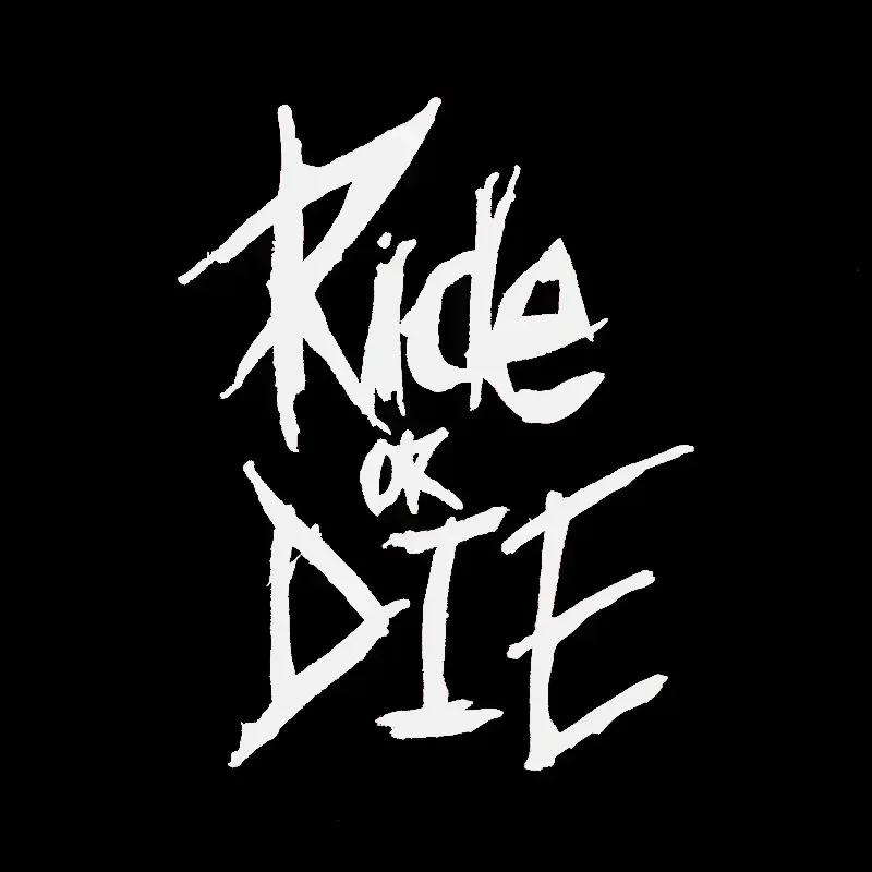 

1 шт. 5,6 x 8 см Наклейки на раму велосипеда Ride or Die Наклейки на верхнюю трубу для MTB Велосипед Декоративная рама Велосипед Авто Мотоциклетные аксессуары белый