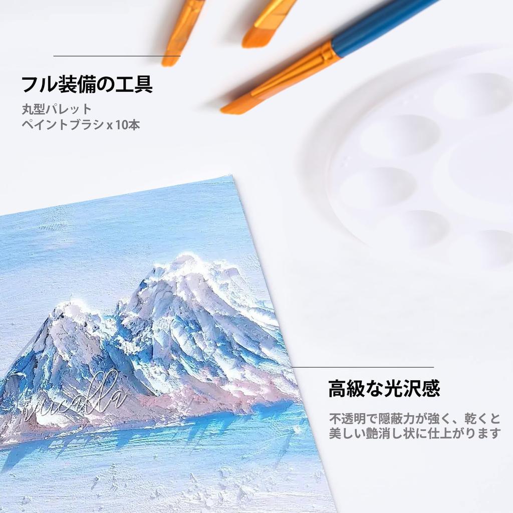 Akrylová barva 24 akrylových 10 štětců 1 voděodolná Snadno použitelná na a Ideální pro vybarvování a Perfektní dárek pro předškolní a základní školu