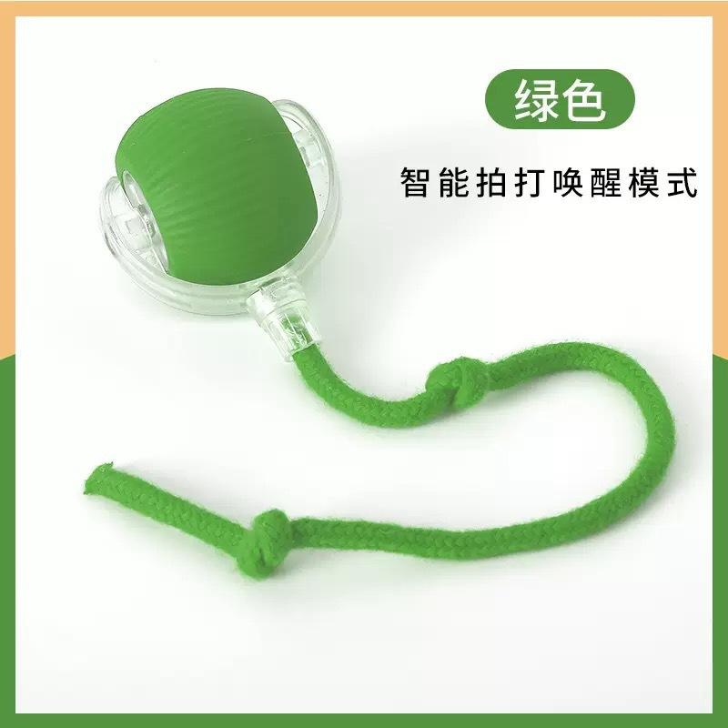 Smart Interactive Pet Ball Toy For Cats And Dogs
