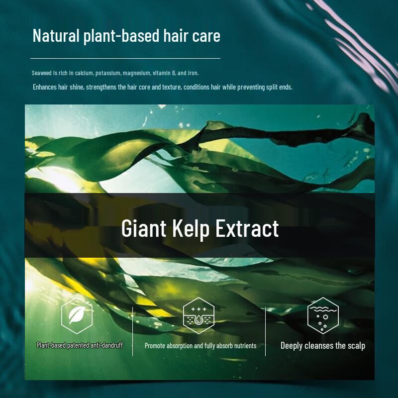 Baitai Seaweed Probiotic Anti-Dandruff Shampoo