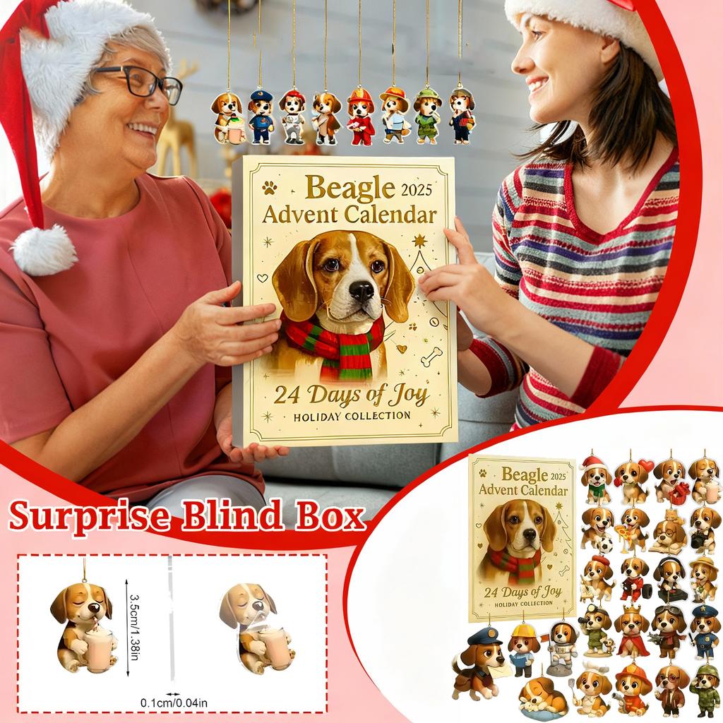 2D Flat Acrylic Mystery Box 24pcs Pendant With Airplane Box Funny Christmas Countdown Calendar