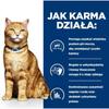 Cat Food Hill's PD C/D Urinary Care Chicken 3 Kg