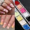 1 Box 3D Flower Nail Charms Multifunctional 12 Grid Design Phone Cases DIY Crafts Nail Art Supplies for Women