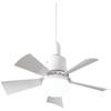 Ceiling Fan With LED Lights, Socket Fan Light Original With Intelligent Remote Control, Replacement For Lightbulb,1000 Lumens /5000 Kelvins Fan