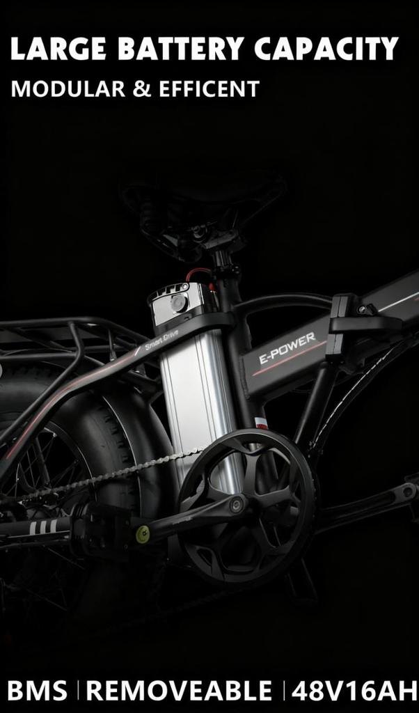 E-bike DZ2002 electric folding bicycle mountain bike 20 inches 750W 48V 16AH outdoor electric bicycle