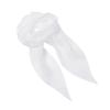 Premier Womens/Ladies Chiffon Scarf