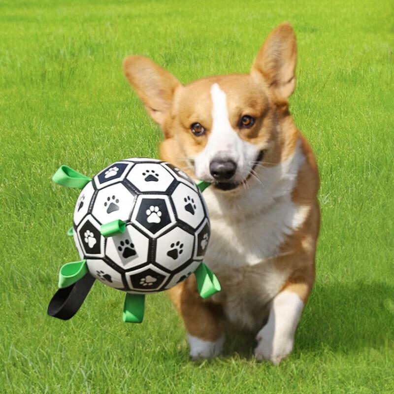 Pet Interactive Chew Soccer Ball Toy S