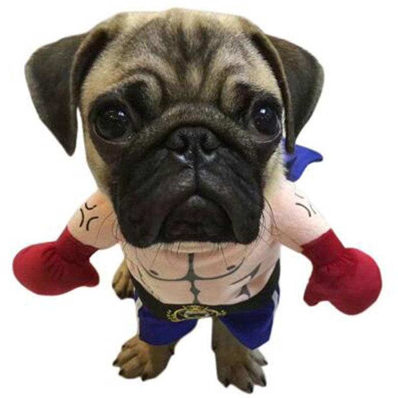 dog boxing costume