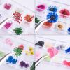 12 Dried Flowers 3D Sticker for Tips Manicure Decor