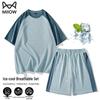 Men's Ice Silk Breathable Sport Set