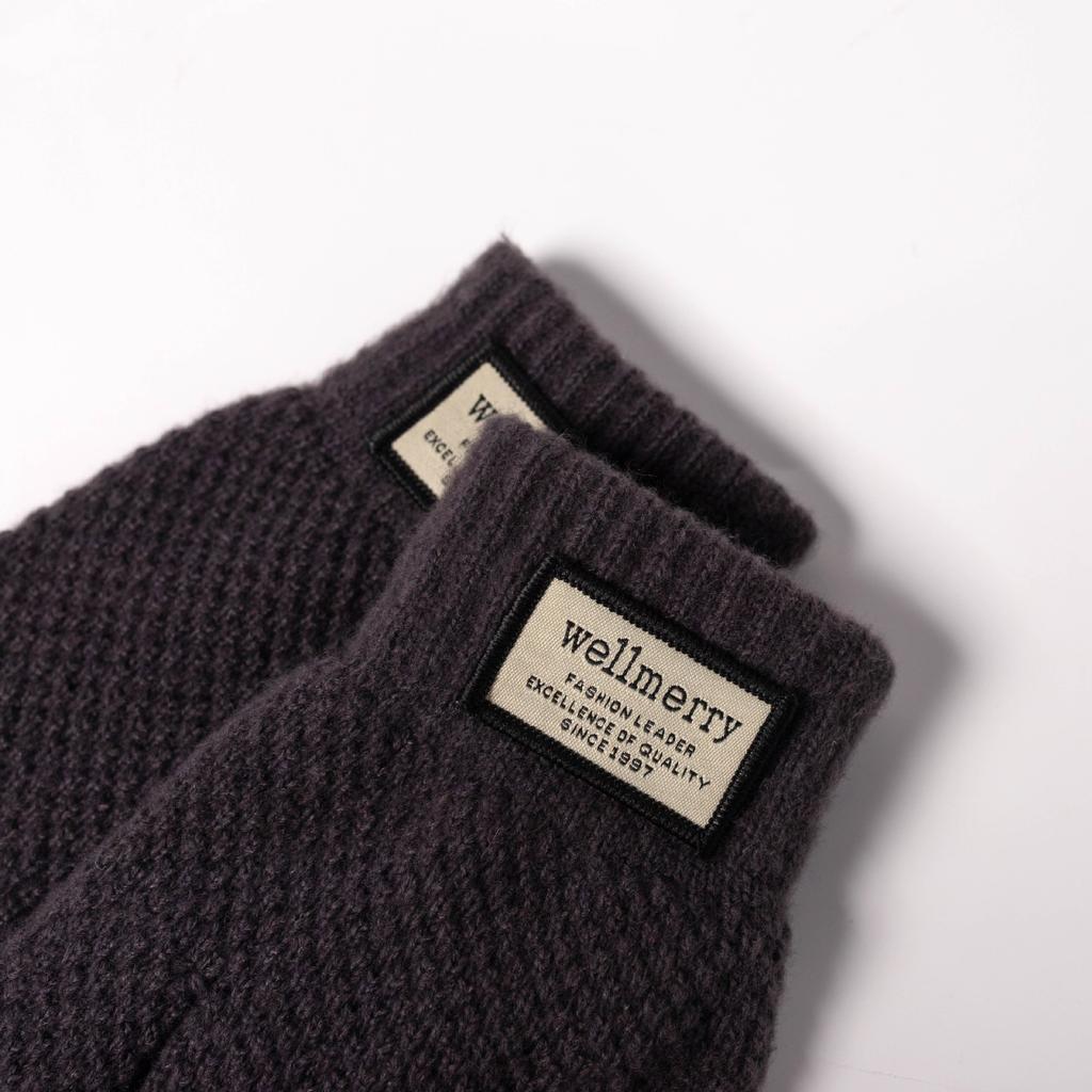 New Autumn and Winter Thickened Gloves Korean Style Cold-proof Cycling Touch Screen Warm Wool Knitted Gloves