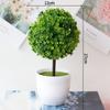 Fake Plant Potted Workspace Table Accessorie Wedding Accessorie Artificial Flower Ornament Household Decoration Room Desktop Decor
