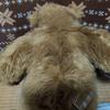 [USED] Hansa Brown Bear Plush Toy Teddy Bear