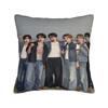 TWS Boy Group Pillow Case  Design Pillow Cover For Living Room Chair Kawaii Pillowcases