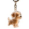 Dog Hair Storage Cute Pendant Keychain Bag Pendant Collection Capsule Cartoon Dog Hair Storage A7K5