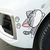 10pcs Cat Fish Car Stickers Auto Wheel Brow Bumper Sticker Scratches Cover Body Decoration Decals Motorcycle Waterproof Decals