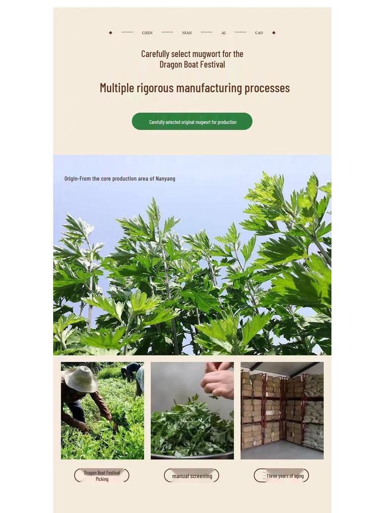 Mugwort Foot Soak Bags - Wild Pure Mugwort Blend (500g) for Relaxing Foot Bath