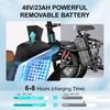 JANSNO X60 Electric Bicycle: 750W motor, 48V 23AH battery, 20-inch wide tires, full suspension, disc brakes, range 60-80 km. Gray.
