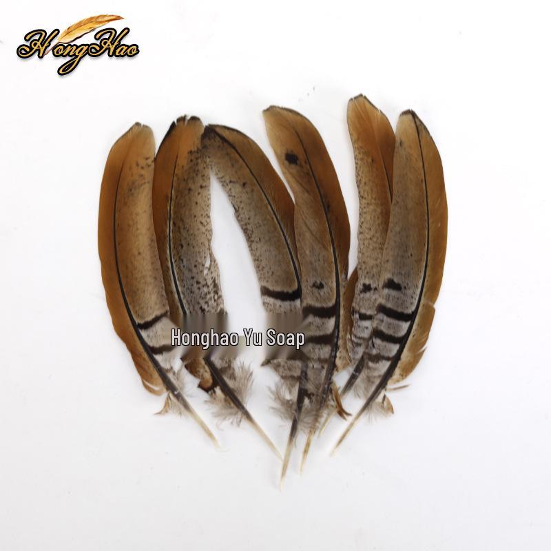 Pheasant Feather Long Plumes for Peking Opera Performance - Sun Wukong Theme