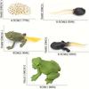 Simulation Animal Model Insect Growth Cycle Model Set, Suitable For Home Decoration, Desktop Ornaments, Children'S Cognition