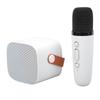 Mini Bluetooth Speaker Portable Wireless Speaker Karaoke Machine With Microphone For Home Party Birthday White