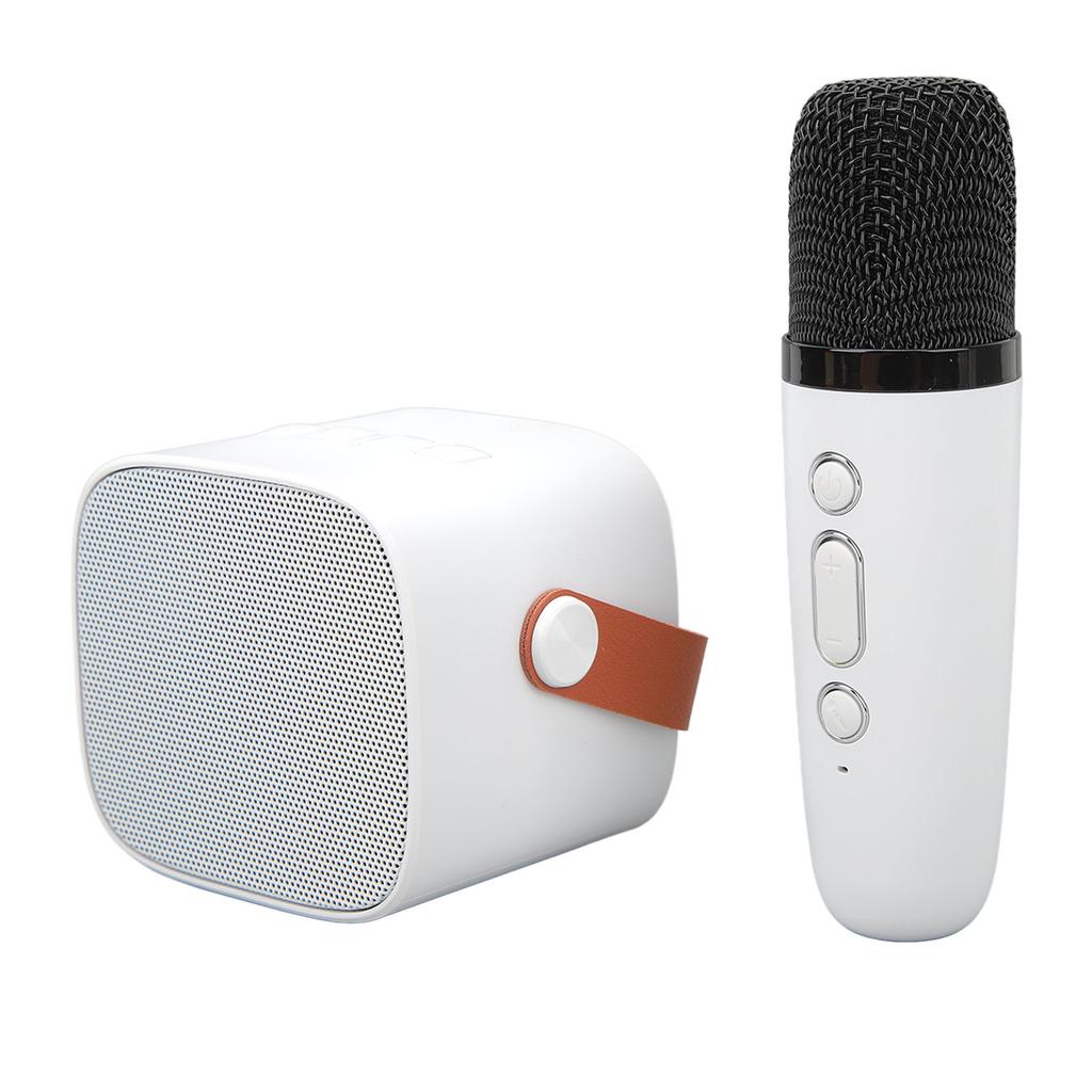 Mini Bluetooth Speaker Portable Wireless Speaker Karaoke Machine With Microphone For Home Party Birthday White