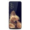 Yorkshire Terrier Dog Phone Case For Samsung S25,S24,S21,S22,S23,S30,Ultra,S20,Plus,Fe,Lite,Note,10,9,5G Black Cover