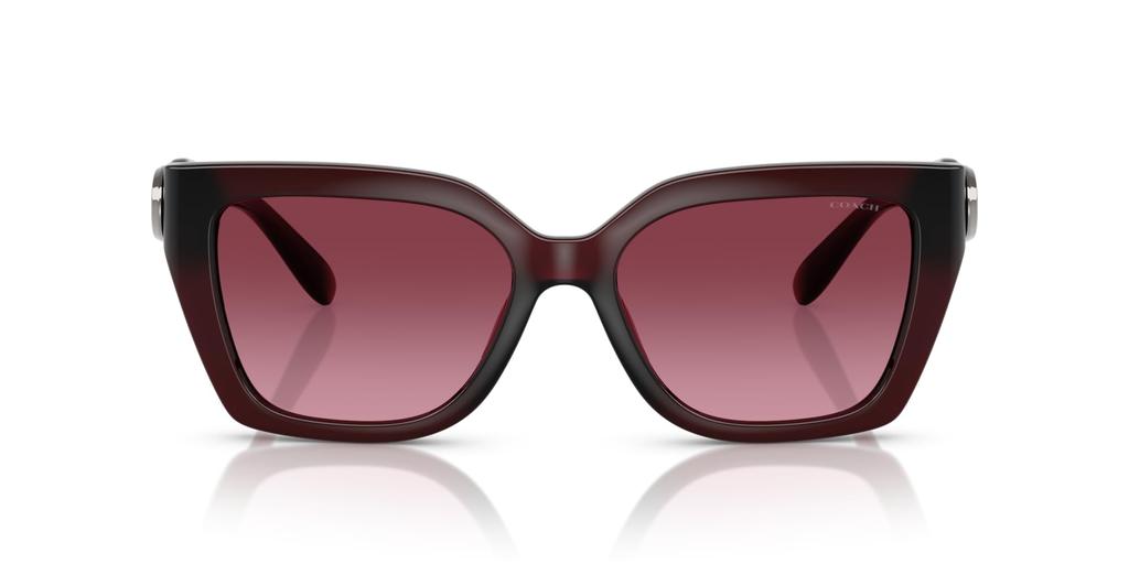 Sunglasses 0HC8408F MILKY BURGUNDY 57 [Coach]