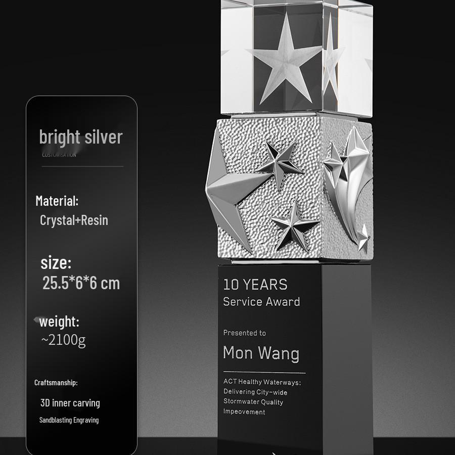 Custom Crystal Trophy Award for Company Annual Meeting 2025 25.5x6x6