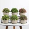 Changbaosen Desktop Mini Artificial Potted Plant