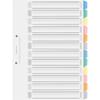 KOKUYO File Index Divider Cards, PP, A4, 12 Tabs, 5 Sets, Shiki-P100