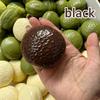 Chocolate Pie Crispy Handmade Ball Slow Rebound Stress Relief Ball Soft Toys Sensory Stress Relief Toy For Home Decoration New