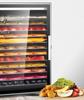 Septree 12-Layer Stainless Steel Small Dehydrator for Fruits and Pet Food