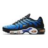 Air Max Plus