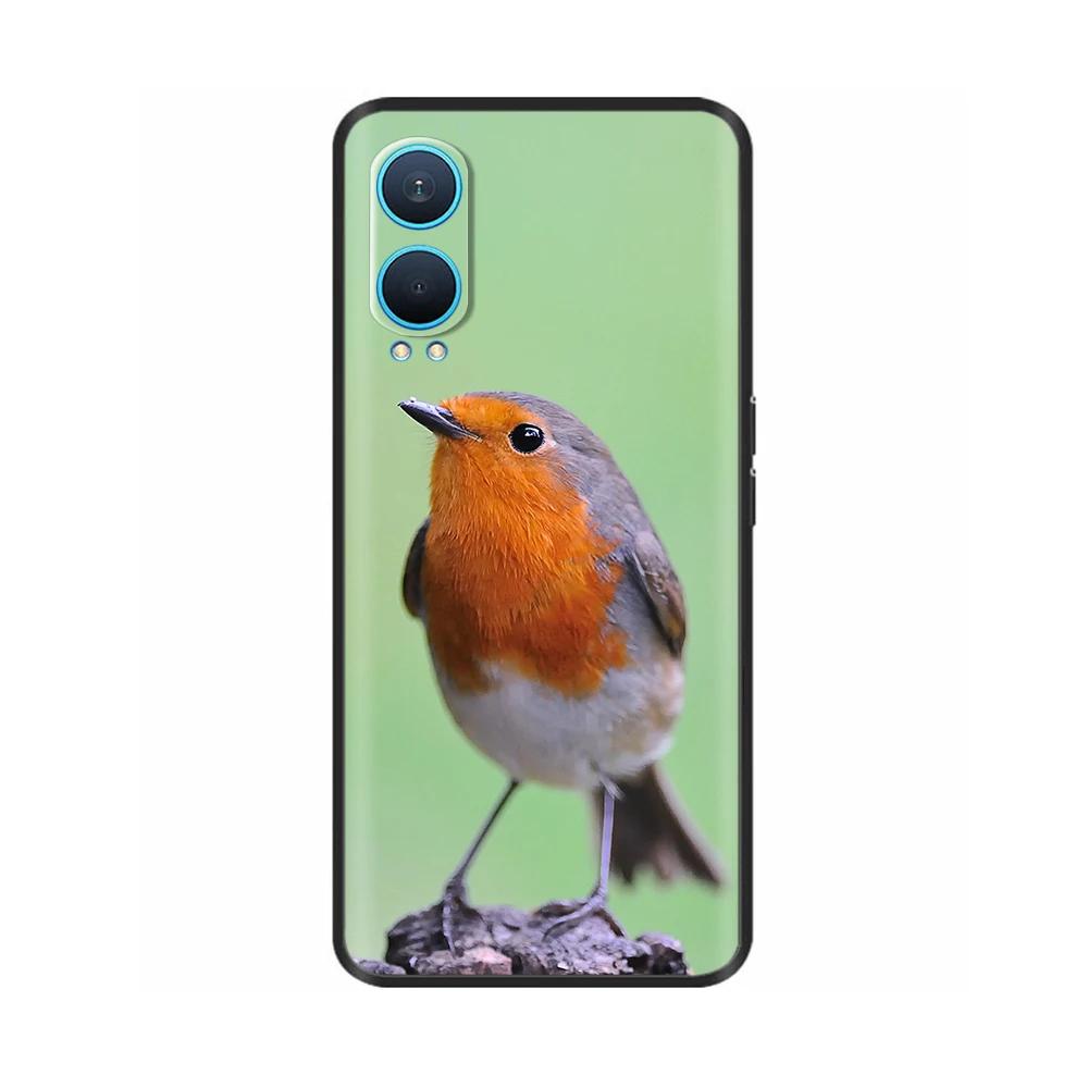 Für OnePlus Nord CE 4 Hülle Nord CE4 Lite Fundas Coole Weiche Silikon TPU Stoßstange Für One Plus Nord CE 4 Lite Handyhüllen Rückseite