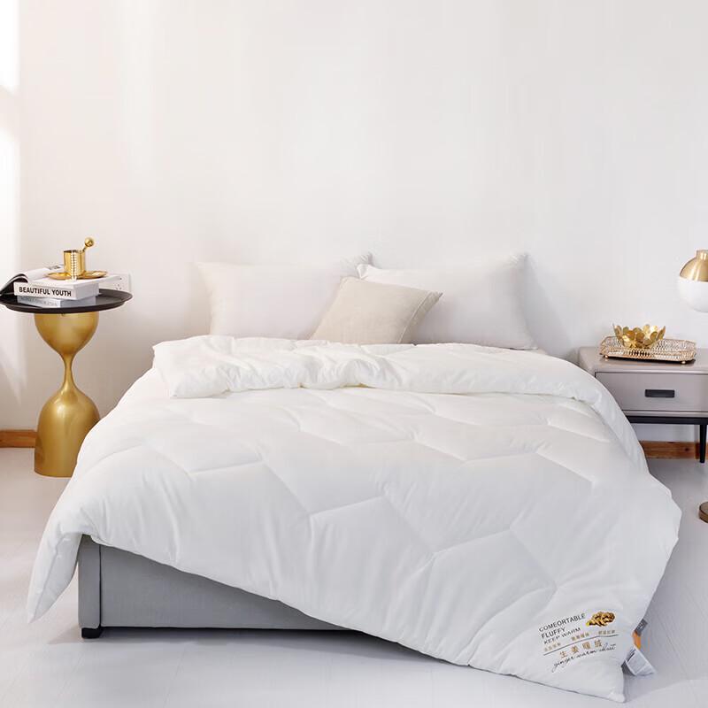 

JOES HOME Ginger Warm Fleece Quilt