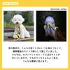 Dog Extendable with LED Safe At Suitable for Small and Medium For Simple [Seven Pet] Lead, Lead, 3m, Light, Night, Dogs, Walking, Pets, Strap,