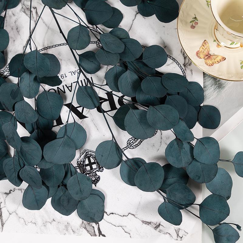 Eternal Apple Eucalyptus Millet Fruit Leaves Beauty Leaves Eucalyptus Leaves Air Dried Flowers And Leaves Multicolor Eucalyptus Leaves Home Decoration