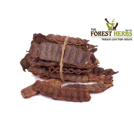 Waldkräuter Natürliche Pflege aus der Natur Bio Ganze Getrocknete Sabut Shikakai, Acacia Concinna ROH Form (500GMS)