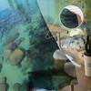 Lake Winter Forest Quiet Shadow Chiffon Sheer Curtains for Living Room Bedroom Home Decoration Window Voile Tulle Curtain Drapes