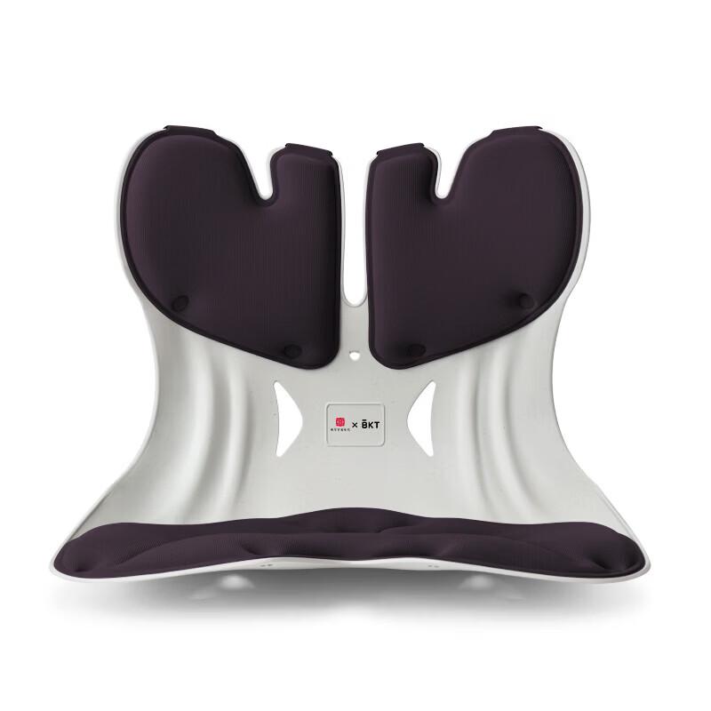 BKT Ergonomic Lumbar Support Seat Cushion