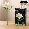 Dream Flower Box: Preserved Building Block Bouquet Set - Sunflower & Carnation. Ideal Toy for Children's Assembly.