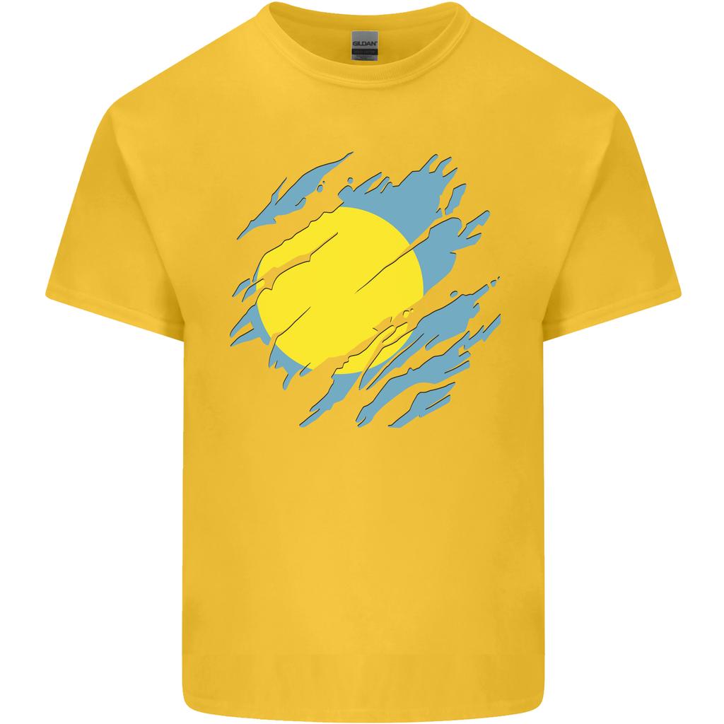 Torn Palau Flag Palauan Day Football Unisexs Light Cotton TShirt