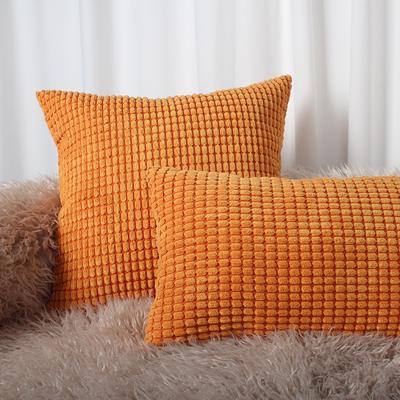 Room Decor Throw Pillows Covers for Couch Living Room Bedroom, Coquette Room Decorative Fluffy Corduroy Cushion Cover Set of 2
