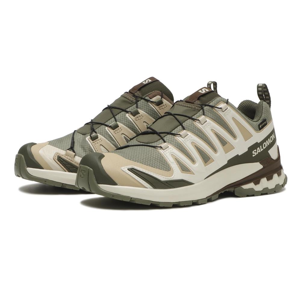 Salomon Xapro 3d V9 Gore Tex L47820200 Deep Lichen Gre