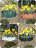 Gartenkonstruktionen – Zäune, Spaliere & Tore