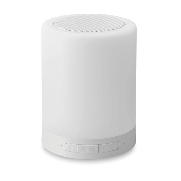 Wireless Camping Speaker