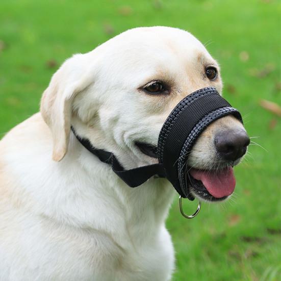 Hundemunnkurv Justerbar Løkke Nylon Munnkurv Pustende Anti-bjeffing Biting Tygging Munnkurv med Reflekterende Stropper for Liten Medium Stor Hund