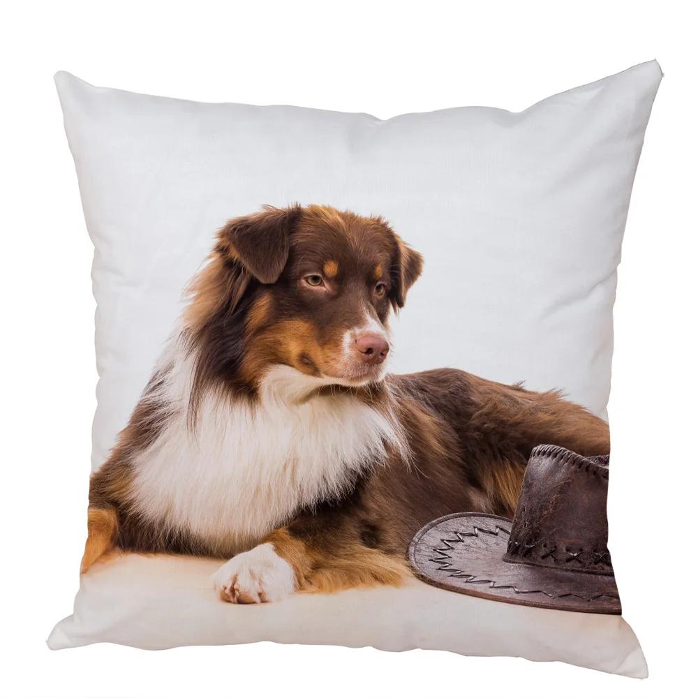 Cute Australian Shepherd Dog Pillow Case Peach Skin Decor Pet Animal Cushion Cover Thorw Pillowcase for Sofa Home Car 45x45cm