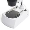 Binocular Stereo Microscope 20-40X St-4024-2L/11
